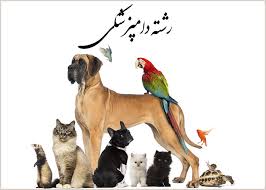 دانلود جزوه جنین شناسی دامپزشکی